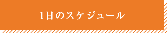 1日のスケジュール